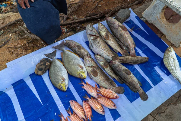 Stile Vita Dei Pescatori Pescherecci Sfamare Loro Famiglie Molte Persone — Foto Stock