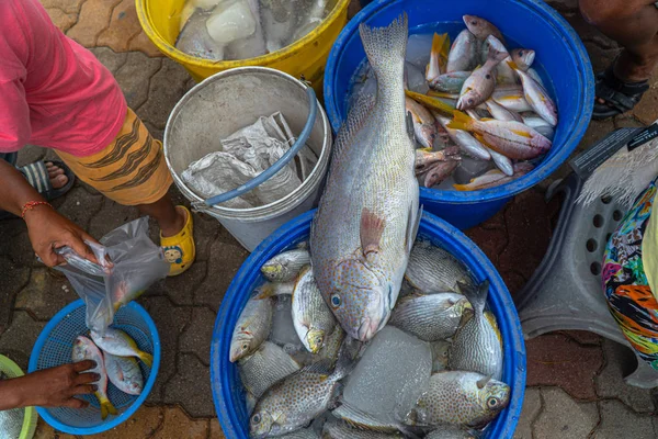 The way of life of fishermen fishing boats to feed their families. many people are waiting for buy direct fishes from the boat