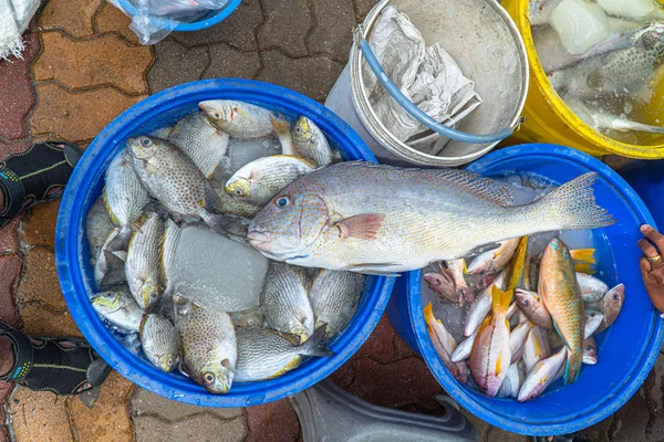 Stile Vita Dei Pescatori Pescherecci Sfamare Loro Famiglie Molte Persone — Foto Stock