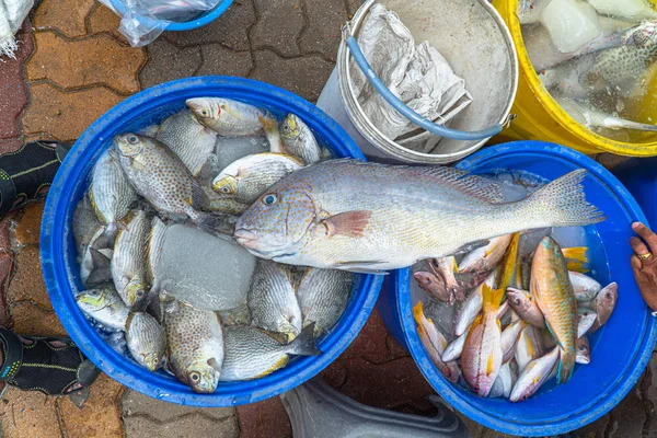 Stile Vita Dei Pescatori Pescherecci Sfamare Loro Famiglie Molte Persone — Foto Stock