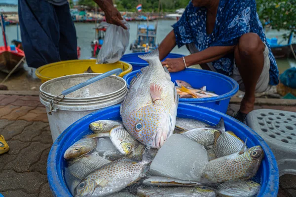 The way of life of fishermen fishing boats to feed their families. many people are waiting for buy direct fishes from the boat