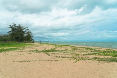 Naphat Tharaphirom Beach, U Tapao havaalanını kapatın ve Chonburi eyaletine bağlanın