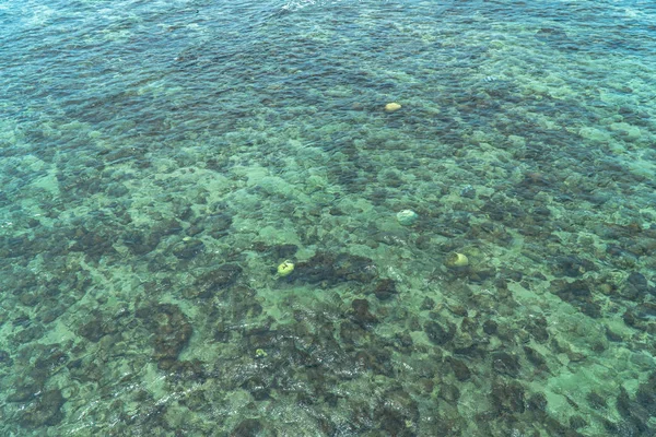 Água Limpa Pode Ver Corais Peixes Samaesarn Beach Chonburi Tailândia — Fotografia de Stock