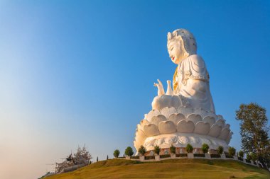 Çin tapınağında en büyük Guanyin heykeli Wat Hyua Pla Kang Chiang Rai tayland kuzeyinde.