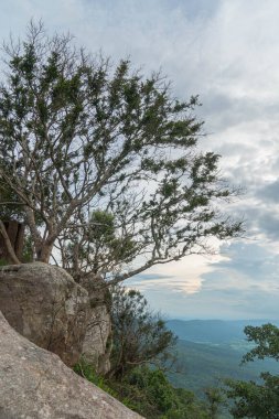 Güzel manzaralı uçurum ve Chaiyaphum Tayland 'daki Hua Nak' ın dik uçurumları.