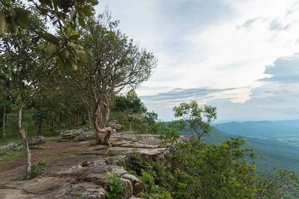 Клифф Красивым Видом Крутыми Скалами Хуа Нак Chaiyaphum Таиланде — стоковое фото