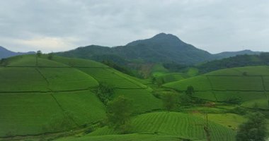 Bulutlu Gökyüzünün altındaki yemyeşil tepeler
