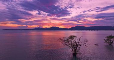 Mangrov ağaçlarının üzerindeki günbatımında hava manzaralı tatlı renkli gökyüzü. Muhteşem günbatımı ya da gün doğumu manzarası. Doğanın inanılmaz ışığı arka plan. renk deseni harika gökyüzü dokusu.