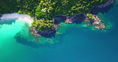 Berrak turkuaz suları, yemyeşil bitki örtüsü ve kayalık uçurumlarla çevrili tenha bir Özgürlük plajının nefes kesici hava manzarası. El değmemiş beyaz kum ve canlı okyanus renkleri
