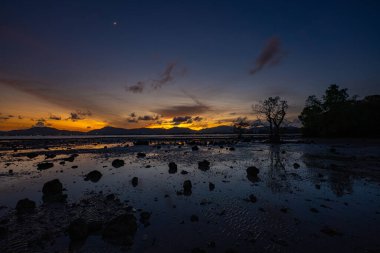 Altın güneş dağ sırtının arkasından yavaşça iniyor, engin mangrov ağaçlarının üzerine uzun gölgeler bırakıyor. Doğanın huzurlu ritmi alacakaranlık gibi yayılıyor.