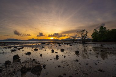 Mangrov ağaçlarındaki boşluklardan güneş ışığı akarken altın saat büyüleyici bir zaman atlaması ile ortaya çıkıyor. Yumuşak dalgalar kıyı şeridini dolaşarak bu sakin ve meditasyon sahnesine hareket katıyor..