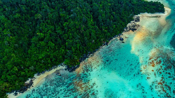 Bereketli yeşil ormanlar, canlı turkuaz mercan resifleri ve derin mavi okyanus sularından oluşan çarpıcı bir kıyı şeridi manzarası. Deniz ve kıyı ekosistemlerinin doğal güzelliği.  