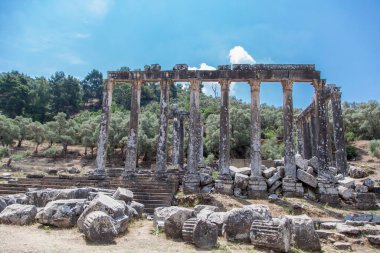 Euromos, Milas, Bodrum, Türkiye 'deki Zeus Tapınağı.