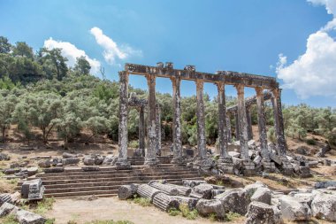 Euromos, Milas, Bodrum, Türkiye 'deki Zeus Tapınağı.