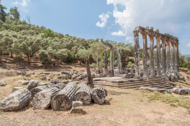 Euromos, Milas, Bodrum, Türkiye 'deki Zeus Tapınağı.