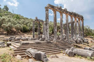 Euromos, Milas, Bodrum, Türkiye 'deki Zeus Tapınağı.