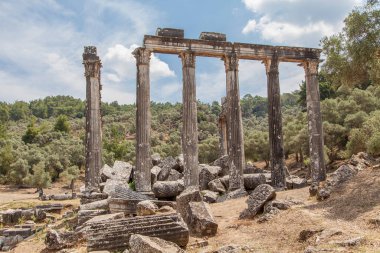 Euromos, Milas, Bodrum, Türkiye 'deki Zeus Tapınağı.