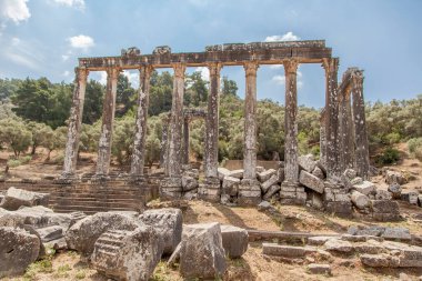 Euromos, Milas, Bodrum, Türkiye 'deki Zeus Tapınağı.