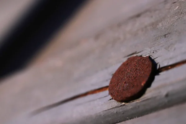 Rostiger Nagel Auf Lackiertem Verwittertem Holz Sonnenscheinabend Makro Nahaufnahme — Stockfoto