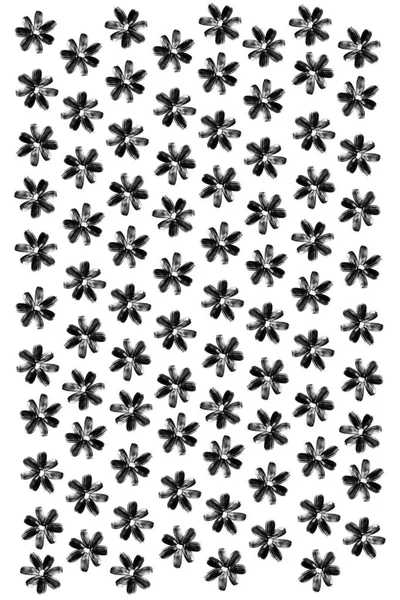 Solrosfrön Blommor Mönster Isolerade Bakgrund Detaljerade Konsistens Makro Närbild Stående — Stockfoto
