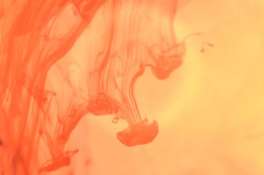 Turuncu mürekkep suya düşer. Sıvı fantezi sanat su sıçramalarına. Arka plan.