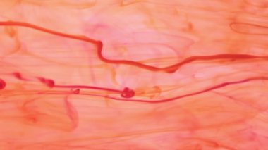 Boya damla su dinamik hareket. Yumuşak ortam arka plan.