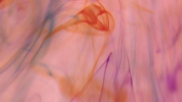 Gekleurde Inkt Drops Motion Dynamiek Water Abstract Ambient Achtergrond — Stockvideo