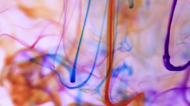 Μπογιά Χρωματιστές Γραμμές Δυναμική Κίνηση Στο Νερό Απαλό Ατμοσφαιρικό Φόντο — Αρχείο Βίντεο