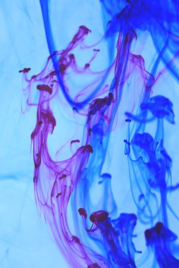 Pembe mavi renkli mürekkep damla su dinamik hareket. Ortam arka plan.