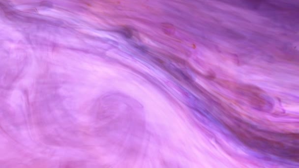 水で薄紫色インク滴の嵐 柔らかい周囲の背景 — ストック動画