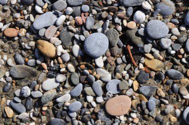 Deniz çakıl cobblestones doku ile. Plaj yüzeyi taşlar. Deniz mineral güzellik uyum.