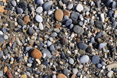 Deniz çakıl doku. Plaj yüzeyi taşlar. Deniz mineral güzellik uyum.