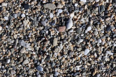 Deniz çakıl doku. Plaj yüzeyi taşlar. Deniz mineral güzellik uyum.