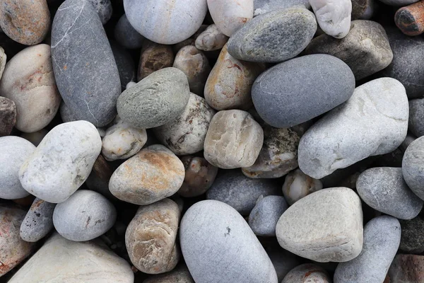 Гармония Морской Минеральной Красоты Текстура Камня Камня Поверхность Пляжных Камней — стоковое фото