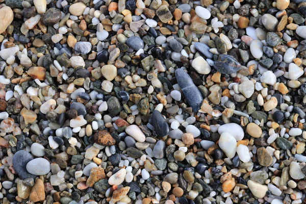 Морская Галечная Текстура Гармония Морской Минеральной Красоты Поверхность Пляжных Камней — стоковое фото