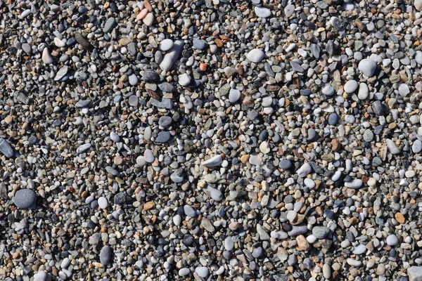 Παραλία Πέτρες Επιφάνεια Θαλάσσιων Ορυκτών Ομορφιά Αρμονίας Υφή Βότσαλο Στη — Φωτογραφία Αρχείου