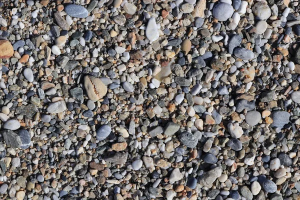 Kieselsteinstruktur Marine Mineralische Schönheit Harmonie Oberfläche Aus Strandsteinen — Stockfoto