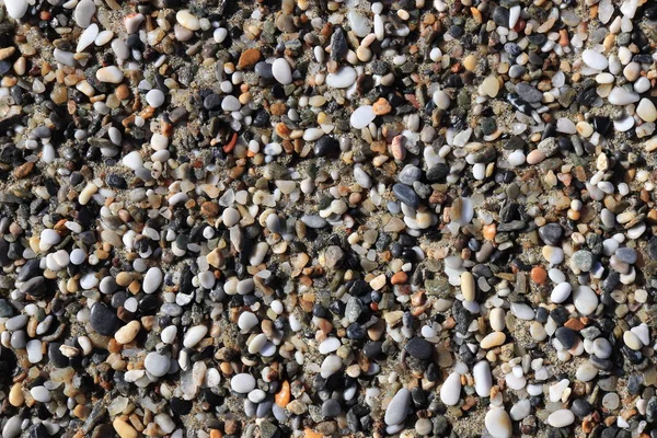 Pequeña Textura Guijarro Marino Piedras Playa Superficie Belleza Mineral Marina —  Fotos de Stock