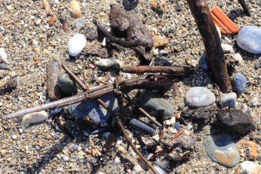 Sahilde yıpranmış çöp.