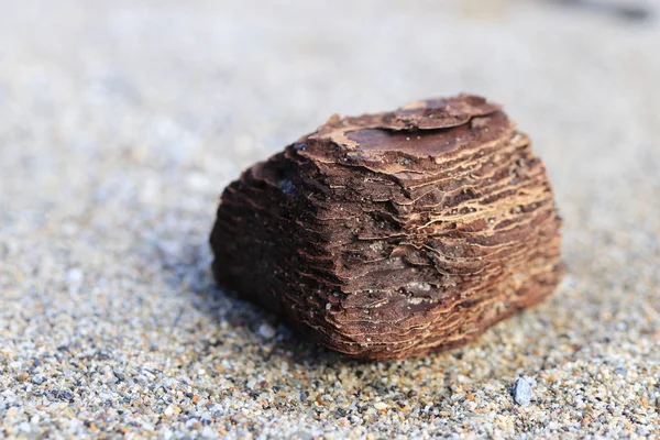 Pedaço Madeira Desgastado Deitado Areia Fecho Macro — Fotografia de Stock