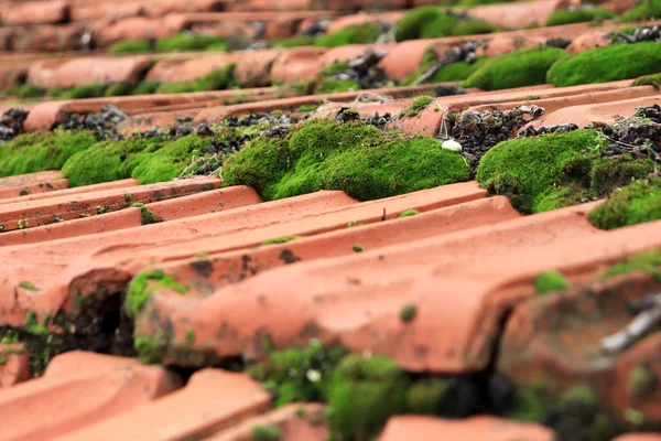 Eski Kırmızı Zona Yosun Döşer Kiremit Bims Sanayi Yıpranmış — Stok fotoğraf