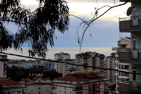 Edifícios Residenciais Com Galhos Árvores Penduradas Fundo Mar Alanya Turquia — Fotografia de Stock