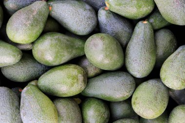 Birçok avokado doku. Avokado vitrin arka plan.