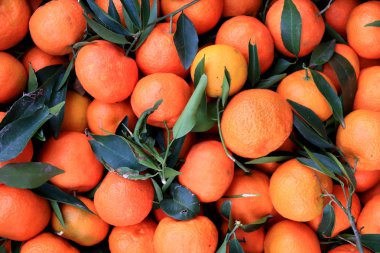 Mandalina yaprakları arka plan ile. Mandalina vitrin doku bir sürü.