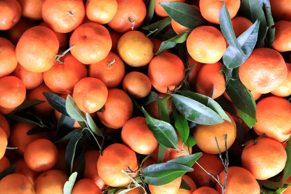 Mandarinen Mit Blätterstruktur Mandarinen Zeigen Hintergrund — Stockfoto