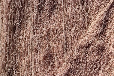 Naylon File doku. Deniz Yat Limanı arka plan.