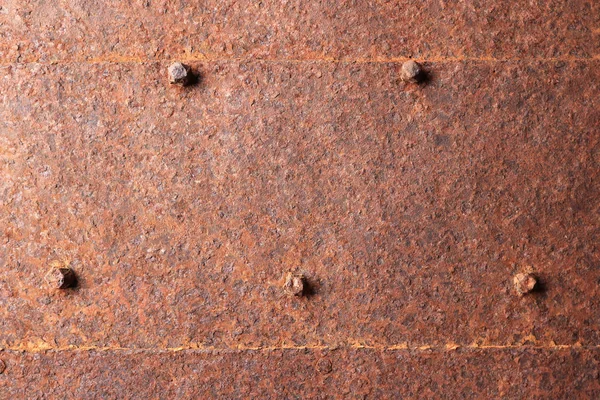 Rusted metallic door with nail heads texture