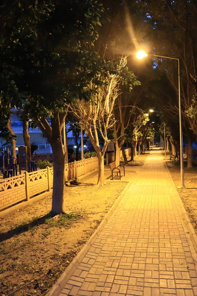 Gehweg Der Parkallee Mit Bäumen Und Licht Von Den Laternen — Stockfoto
