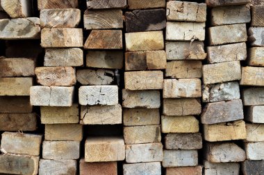 Ahşap doku butts. Zor grunge ahşap arka plan.