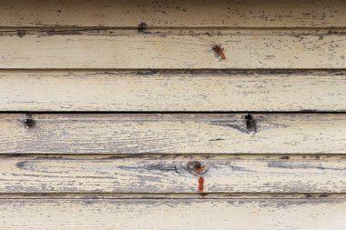 Eski ahşap arka plan. Boyalı plakalar doku yıpranmış. Yatay yön boyunca.
